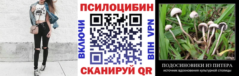 купить  сайты  Артём  Галлюциногенные грибы Cubensis 